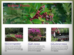 Abells Garden Center
